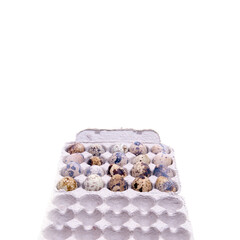 Quail eggs in cardboard packaging, close-up, isolated, copy space on a white background