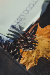Close-up, Notepad, leaves, small photos and romantic details, concept.