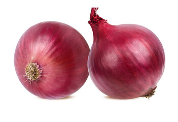 onion  isolated on white background