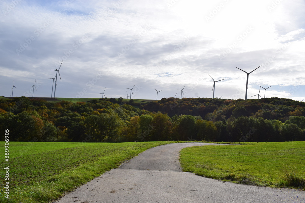 Wall mural windräder im herbst