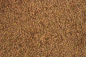 Traditional Turkish domestic green Lentil. Lentil background. Flat layout.
