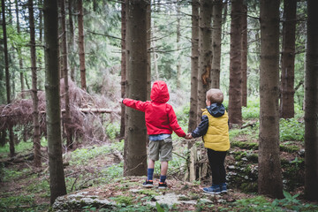 Two children together by the hand in the forest - Two brothers walking in the forest on the pathway, siblings hold hands, back view