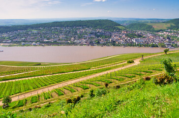 Fototapeta na wymiar Panorama Rheingau Bingen Rheinland Pfalz Deutschland 