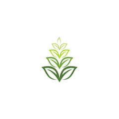 Fototapeta na wymiar Leaf ecology Logo Template vector