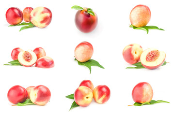 Collection of juicy ripe peaches close-up on white