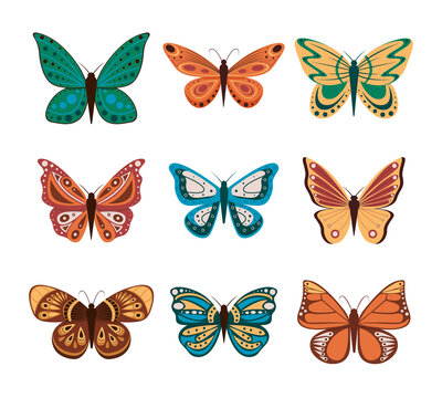 Vector illustration of cartoon butterflies isolated on white background. Abstract butterflies, colorful flying insect.