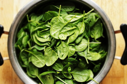 fresh spinach leaves