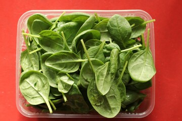fresh spinach leaves