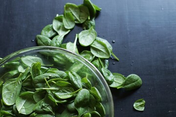 fresh spinach leaves