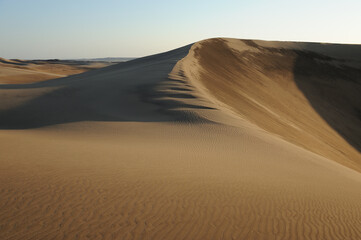 Fototapeta na wymiar Intriguing dune shapes in the old sand of the Namib Desert