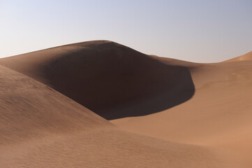 Fototapeta na wymiar Intriguing dune shapes in the old sand of the Namib Desert