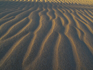 ripples in the sand