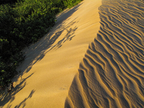 sand dunes on the beach