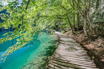 Wooden bridge footpath over a small lake with bulrush in The Plitvice Lakes National Park in Croatia Europe.