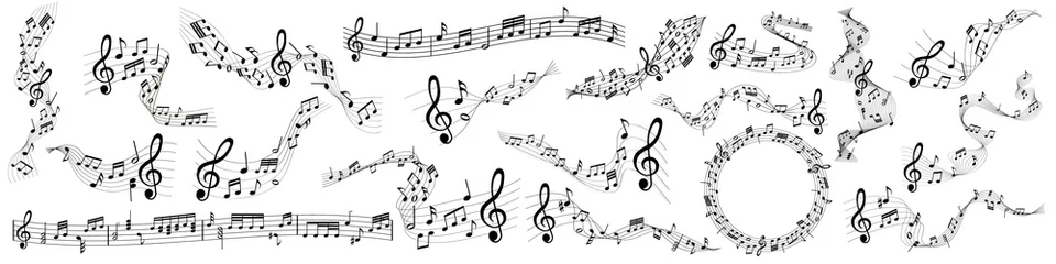 Poster musical notes melody on white background   © agrus