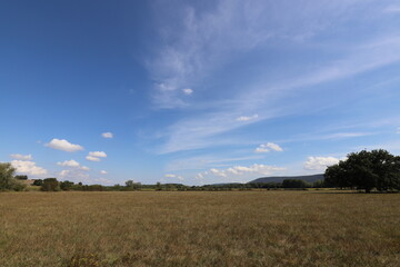 Obraz premium Big wide lush green meadow with a beautuful blue sky and fluffy clouds.