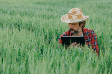 Agronomist using tablet computer in green wheat crop agricultural field