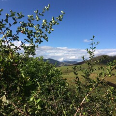 
sunny day in the south of minas