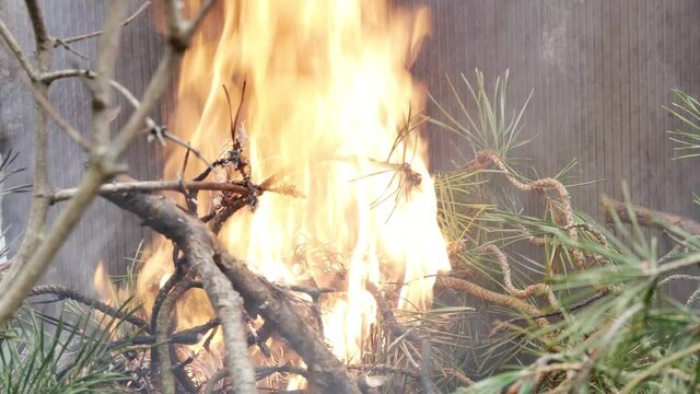 burning wood in an iron barrel color