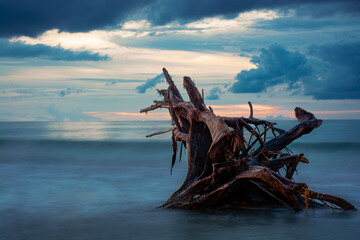 coveñas sucre colombia  tronco de madera en medio del mar con un atardecer © TTLEstebanRivera