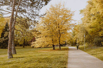 Herbst im Park in der Stadt Weimar im 
Weimarhallenpark in Thüringen