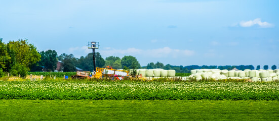 Agricultural landscape in Waterlandkerkje, zeeland, The Netherlands
