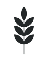 Wheat vector icon. Grain spike symbol. Crop and oat ear sign. Barley or rye cartoon silhouette. Food gluten package logo. Cereal clip-art label.