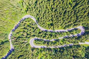 Above view of curved road in green forest