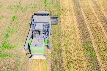 Above view of combine harvesting wheat field