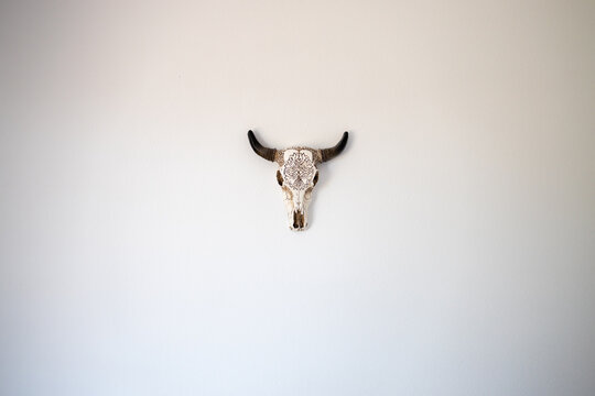 Southwestern Decorative Cow Skull Head Hanging on White Bedroom Wall in Desert Home