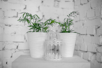 Decor in white studio. White lantern, flowers in white pots.