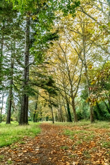 Paysage aux couleurs d'automne