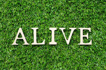 Wood alphabet letter in word alive on green grass background