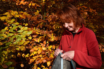 Frau sucht etwas im Rucksack beim Wandern, Rothaarige in Herbstlaub in gelb und braun beim...