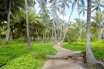 Obraz premium Parque Tayrona Santa Marta