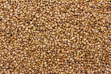 Buckwheat background. Background from brown buckwheat.