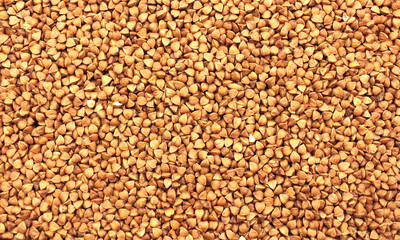 Buckwheat background. Background from brown buckwheat.