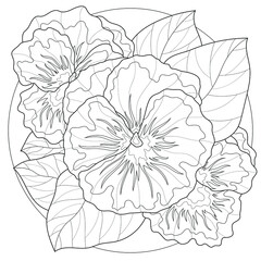 Violets flowers.Coloring book antistress for children and adults. Illustration isolated on white background.Zen-tangle style.