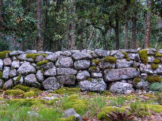 Different sections of a very old stone wall covered in moss, at the hilsidel of the Iguaque...