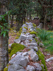 Different sections of a very old stone wall covered in moss, at the hilsidel of the Iguaque mountain in the central Andes of Colombia.