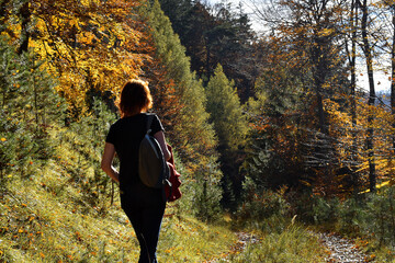 Rothaarige Frau bei Wanderung von hinten im Gegenlicht vor herbstlicher Waldlandschaft mit kurzen...