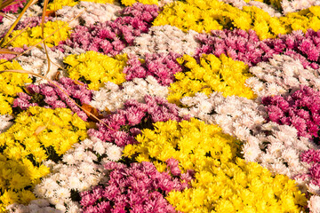 Bouquet of flowers in wonderful colours in autumn