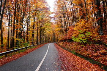 Amazing autumn scenery in early November 
