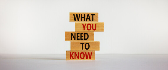 Wooden blocks with text 'what you need to know'. Beautiful white background, copy space. Business concept.