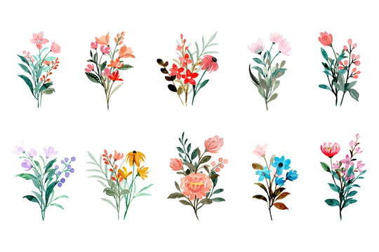 Colorful wild floral bouquet collection with watercolor