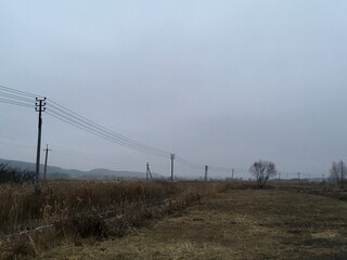 barbed wire fence in the field