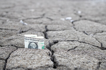 cracked soil in a clay pit and a dollar sticking out of the crack