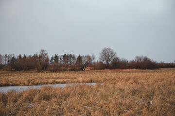 Fototapeta premium Field in the late autumn