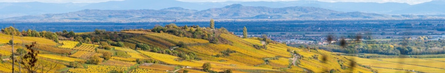 Fototapeta premium Le Mont de Sigolsheim, piédestal sur la plaine d'Alsace, Haut-Rhin, France