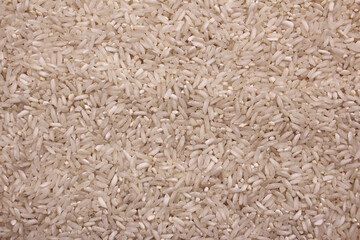 White rice for the background. Rice background